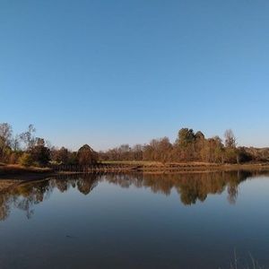 Meet your Posher, Zach